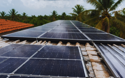 ¿Los paneles solares aguantan huracanes?