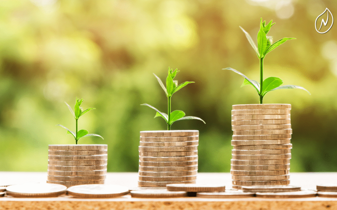 Financiamiento para paneles solares en Cancún