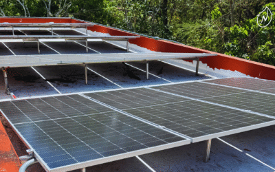 ¿Qué pasa con la energía solar que no uso en Cancún?